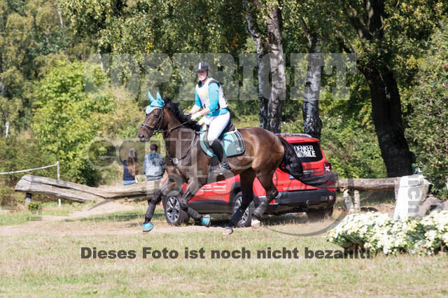 Vielseitigkeitsturnier RSV St. Hubertus Wesel Obrighoven