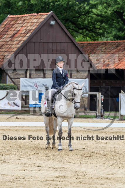 Goldene Schärpe 2021 - Ponys