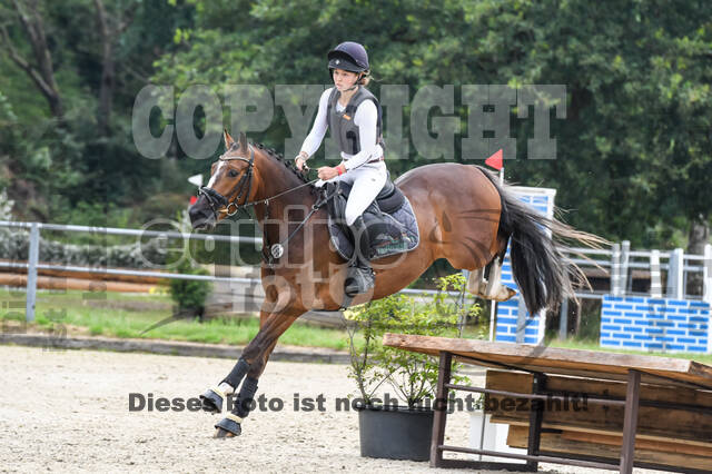 Late-Entry-Vielseitigkeit Langenfeld (11.+13./14.06.2020)
