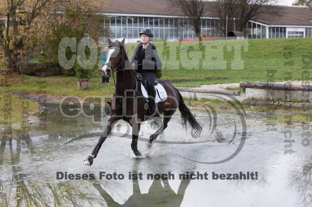IGV Lehrgang der Sieger der Cups mit Frank Ostholt