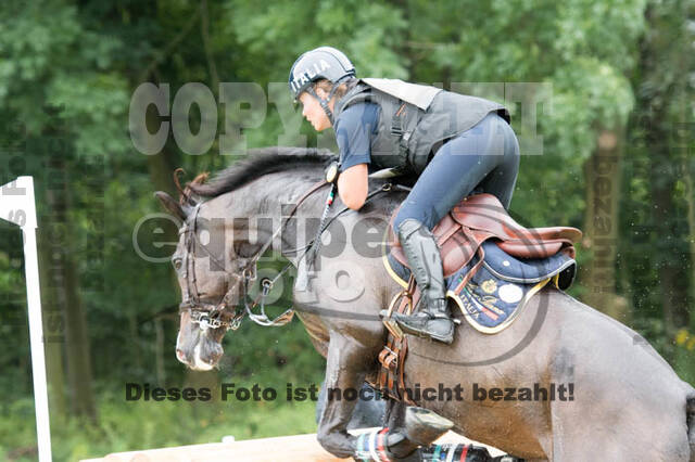 FEI European Championship