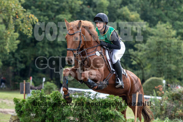 Vielseitigkeit RSV Wesel Obrighoven (26.+27.09.2020)