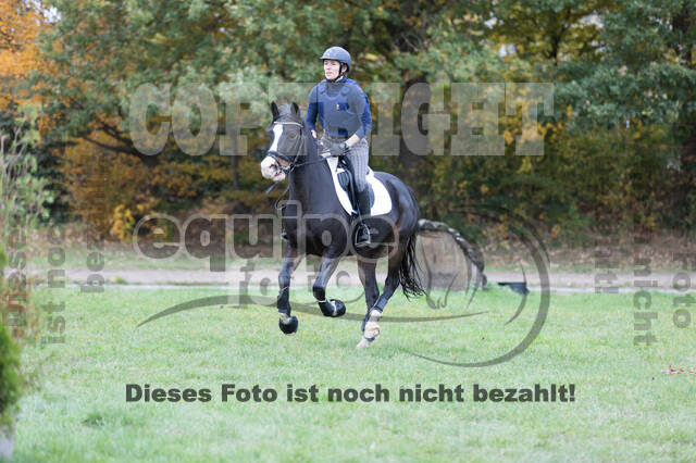 IGV Lehrgang der Sieger der Cups mit Frank Ostholt