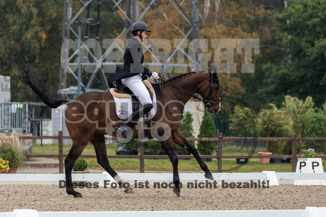 Deutsche Meisterschaft Vielseitigkeit (Luhmühlen)