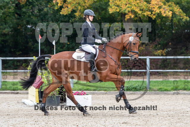 Reiter Schleswig-Holstein