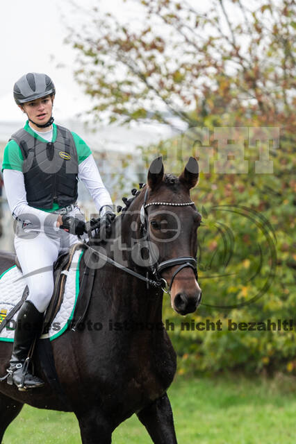 Goldene Schärpe 2020 - Pferde