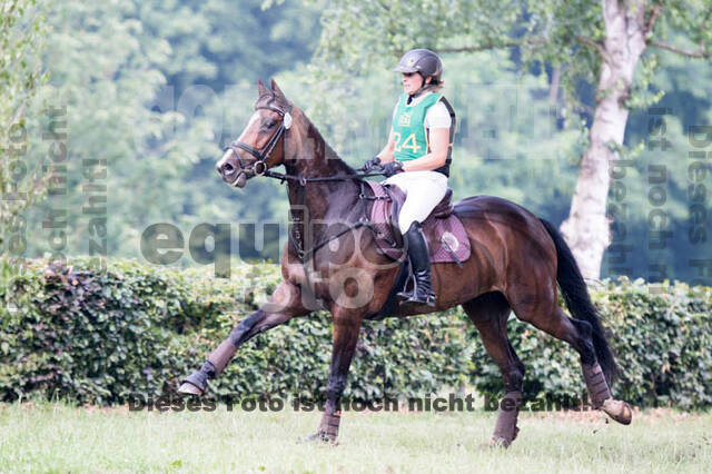 RFV Bad Honnef