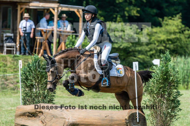 Goldene Schärpe 2021 - Ponys