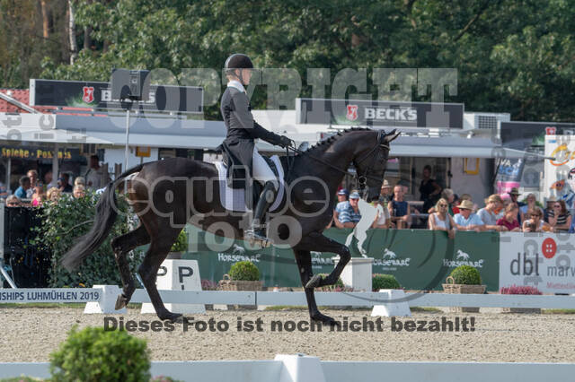 FEI European Championship Eventing 2019