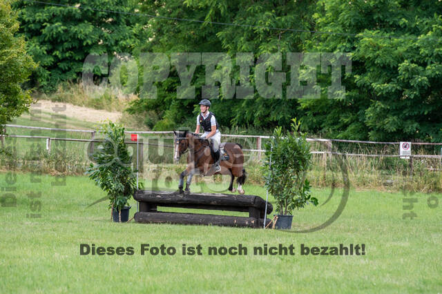 Bonn-Rodderberg Late-Entry-Vielseitigkeit (30.06.2020)