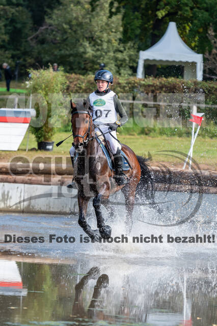 Deutsche Meisterschaft Vielseitigkeit (Luhmühlen)