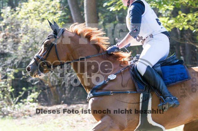 Vielseitigkeitsturnier RSV St. Hubertus Wesel Obrighoven