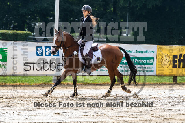 Goldene Schärpe 2021 - Ponys