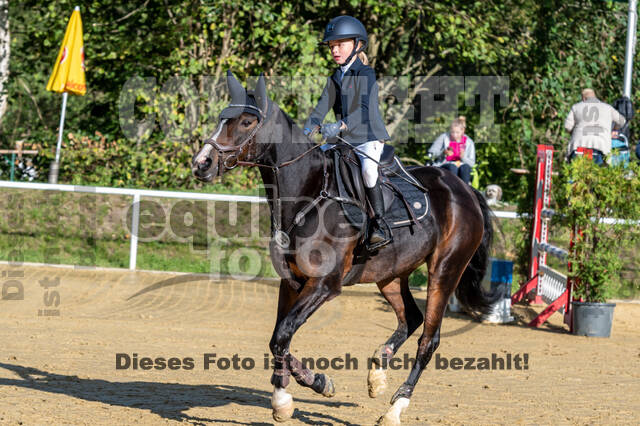 RFV Dinslaken-Hiesfeld (Herbstturnier)