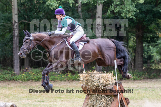 Late-Entry Vielseitigkeit Hamminkeln/Wesel (01.+02.08.2020)