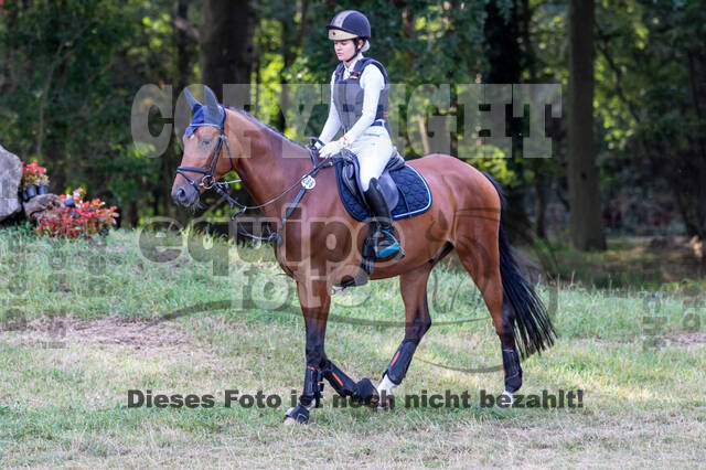 Late-Entry Vielseitigkeit Hamminkeln/Wesel (01.+02.08.2020)
