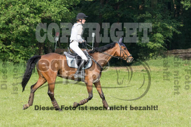 Vielseitigkeitsturnier ZRFV von Lützow Hamminkeln