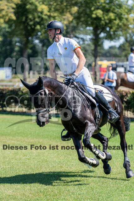 Kronenberg - De Peelbergen (August 2020)