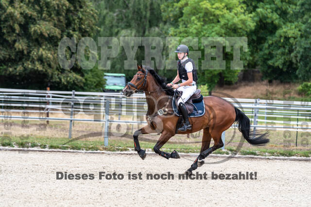 Late-Entry-Vielseitigkeit Langenfeld (11.+13./14.06.2020)