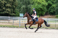 Late-Entry-Vielseitigkeit Langenfeld (11.+13./14.06.2020)