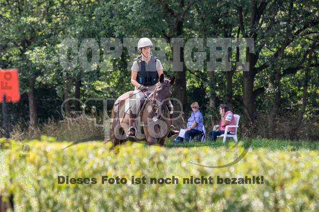 Late-Entry-Vielseitigkeit Gahlen (18.07.2020)