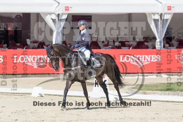 FEI European Championship