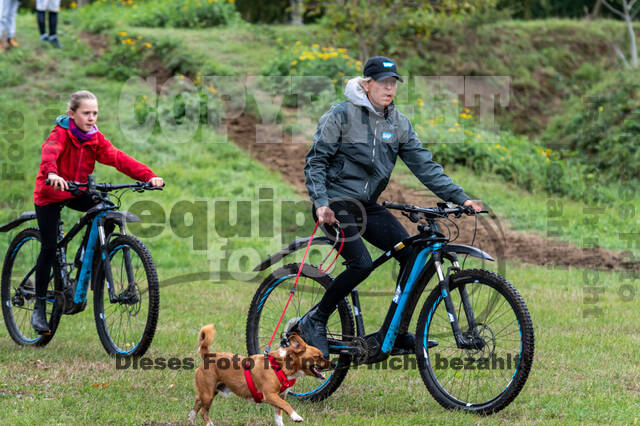 Vielseitigkeit RSV Wesel Obrighoven (26.+27.09.2020)