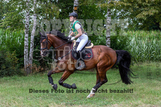 Late-Entry-Vielseitigkeit Gahlen (18.07.2020)