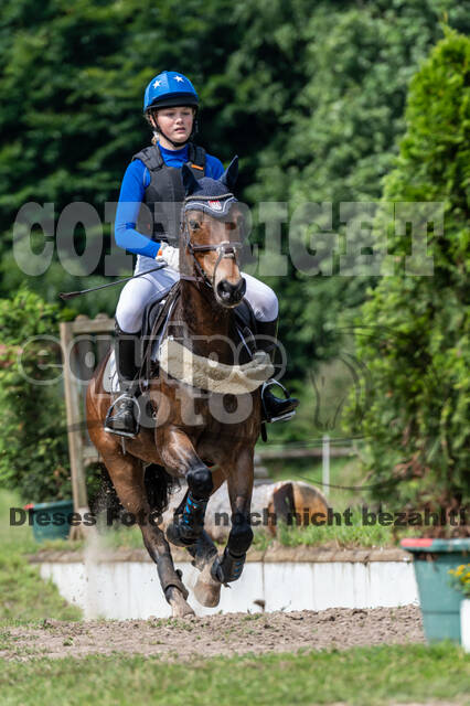 Goldene Schärpe 2021 - Ponys