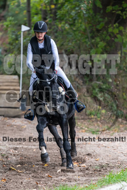 Goldene Schärpe 2020 - Pferde