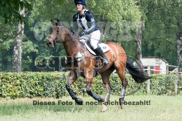 Vielseitigkeitsturnier RFV Bad Honnef