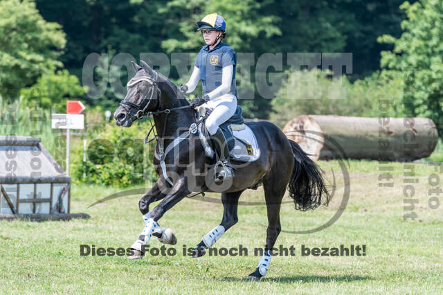 Goldene Schärpe 2021 - Ponys