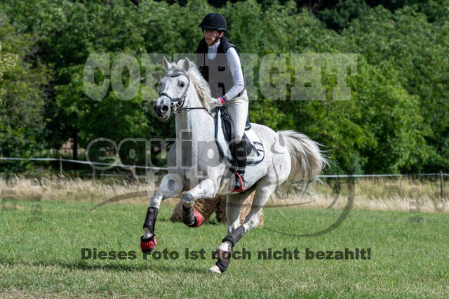 Bonn-Rodderberg Late-Entry-Vielseitigkeit (30.06.2020)