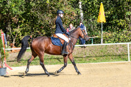 RFV Dinslaken-Hiesfeld (Herbstturnier)