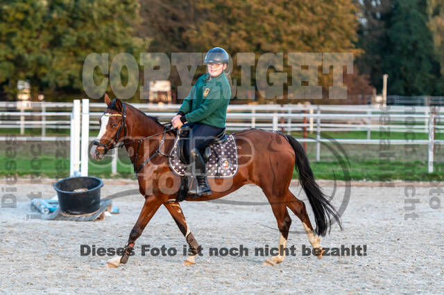 IGV Lehrgang der Sieger der Cups mit Frank Ostholt