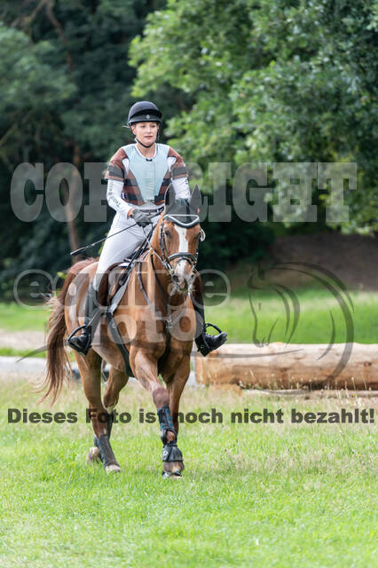 Late-Entry-Vielseitigkeit Langenfeld (06.+07.07.2020)