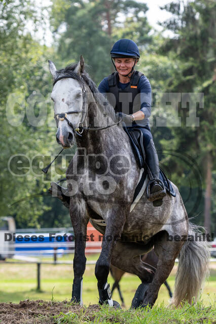 Hunter Geländetraining 10.07.2021 (Sonsbeck)
