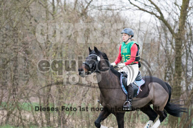Frühjahrsvielseitigkeit RV Seydlitz Kamp