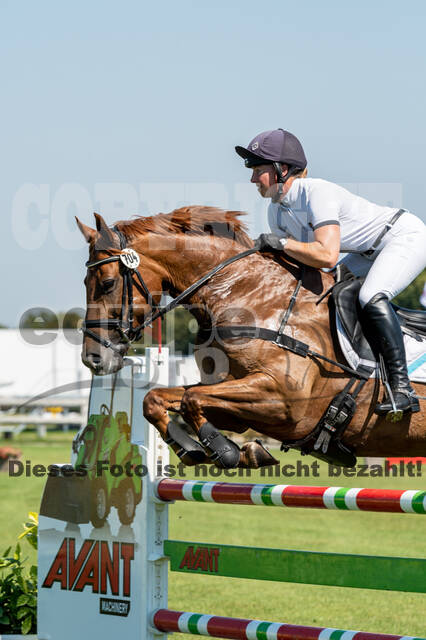 Kronenberg - De Peelbergen (August 2020)