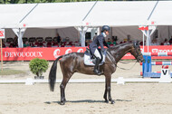 FEI European Championship