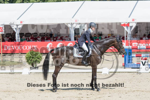 FEI European Championship