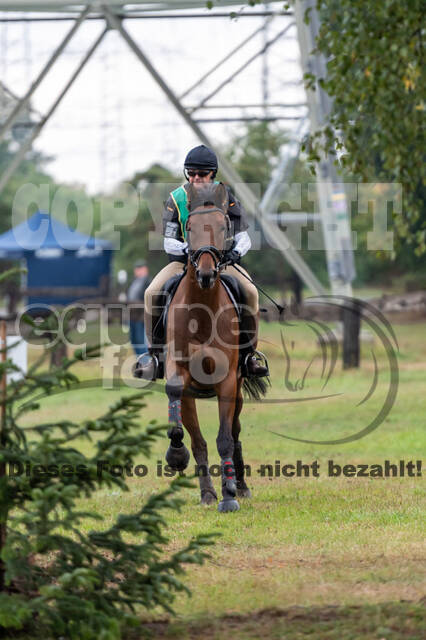 Vielseitigkeit RSV Wesel Obrighoven (26.+27.09.2020)