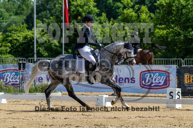 Westerstede Horse Trials 2021