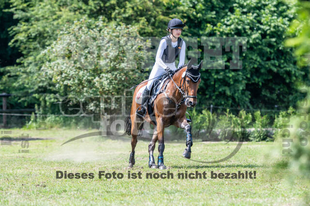Goldene Schärpe 2021 - Ponys