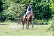 Goldene Schärpe 2021 - Ponys
