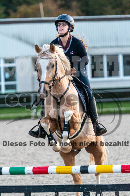 IGV Lehrgang der Sieger der Cups mit Frank Ostholt