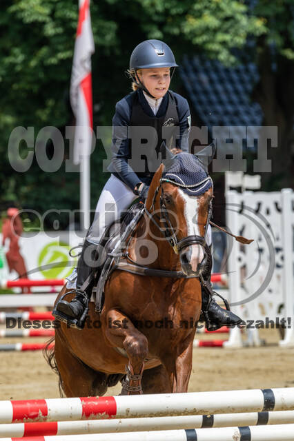 Goldene Schärpe 2021 - Ponys