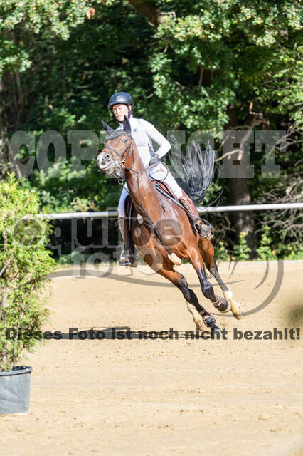 RFV Dinslaken-Hiesfeld (Herbstturnier)