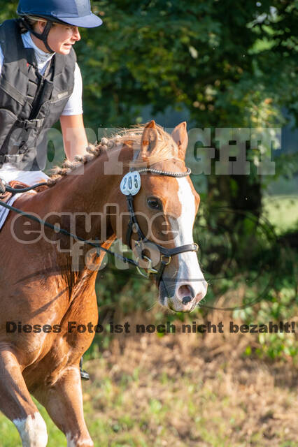 Late-Entry-Vielseitigkeit Gahlen (18.07.2020)