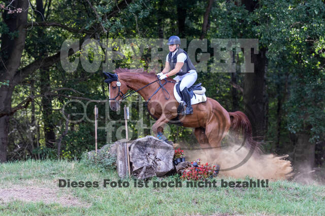 Late-Entry Vielseitigkeit Hamminkeln/Wesel (01.+02.08.2020)